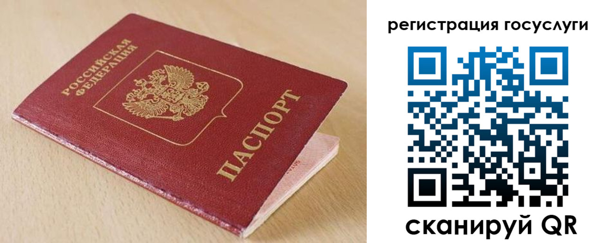 временная регистрация гарантия в Рошале